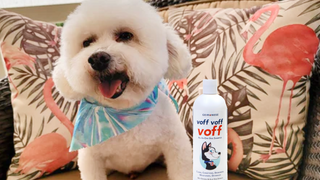 Dog Fragrances